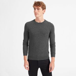 Everlane The Grade-A Cashmere Crew