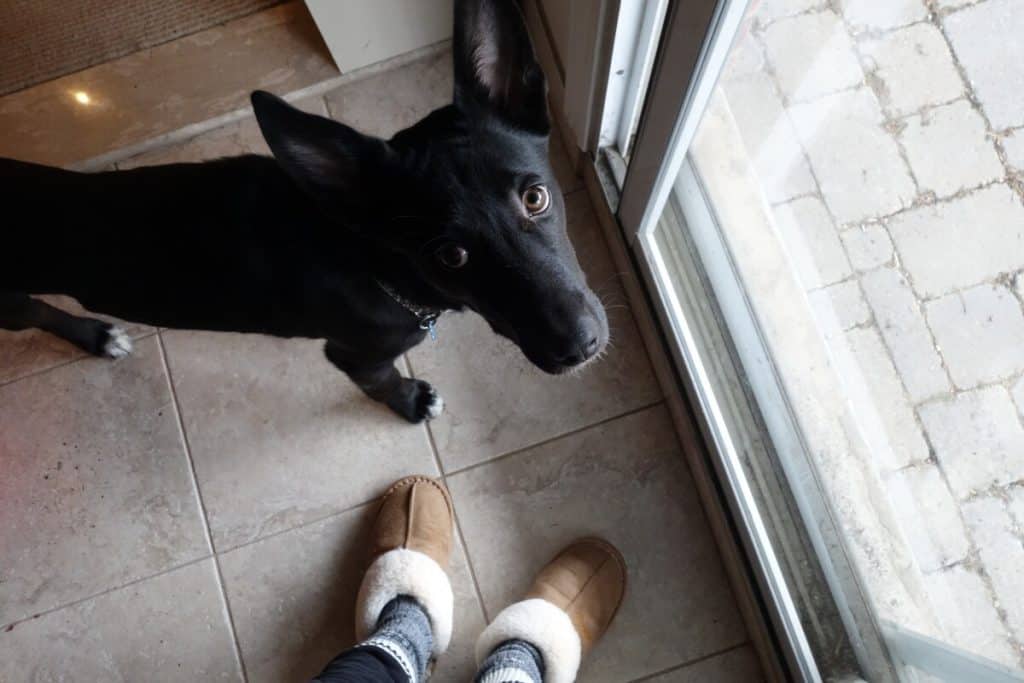 warmest house shoes