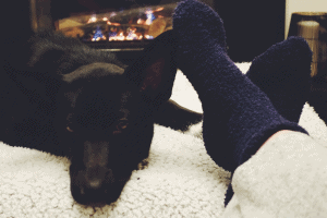 warm socks and dog in front of a fireplace